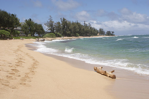 Beach in Kauai